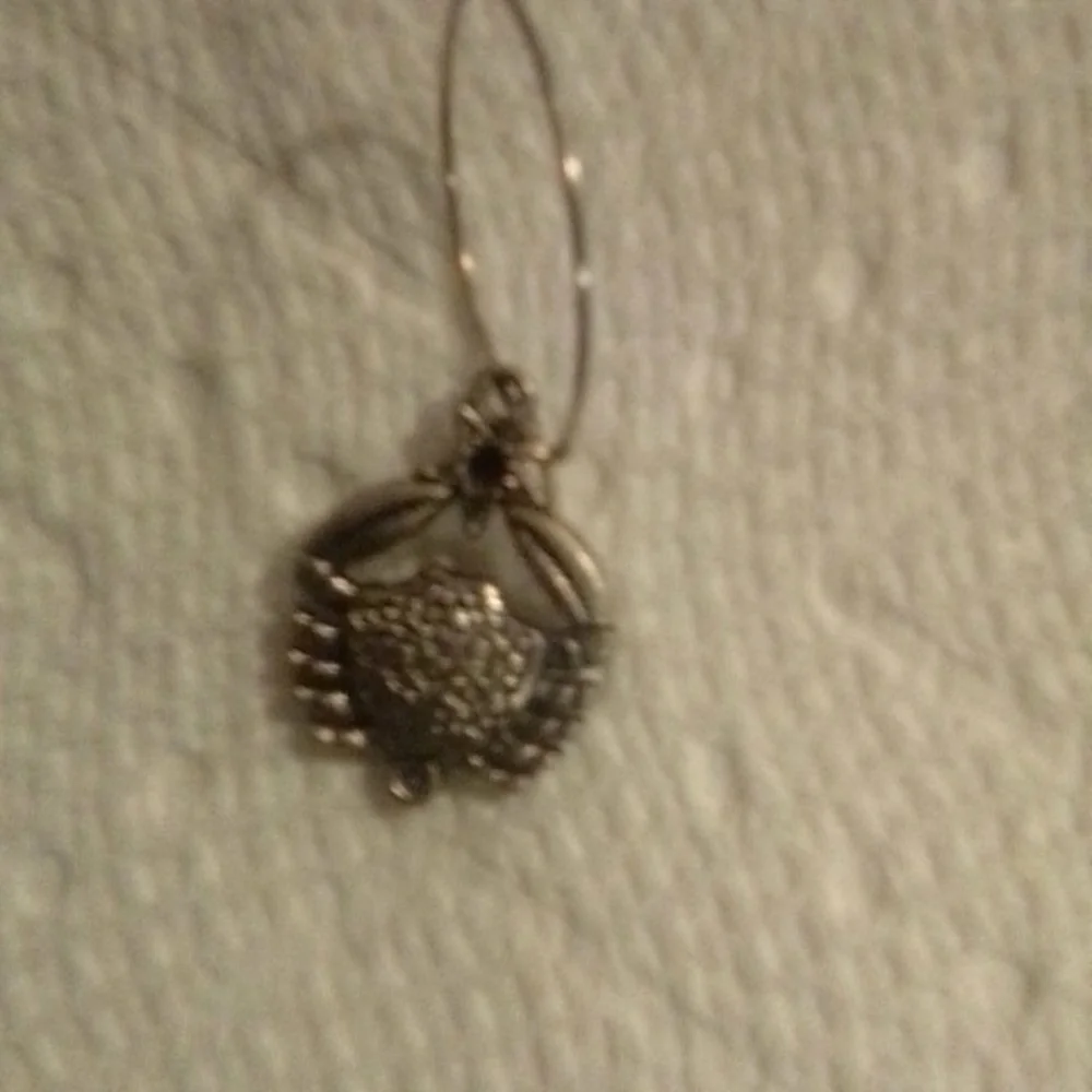 Silver charm - Picture 2 of 2